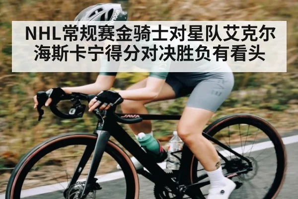 NHL常规赛金骑士对星队艾克尔海斯卡宁得分对决胜负有看头